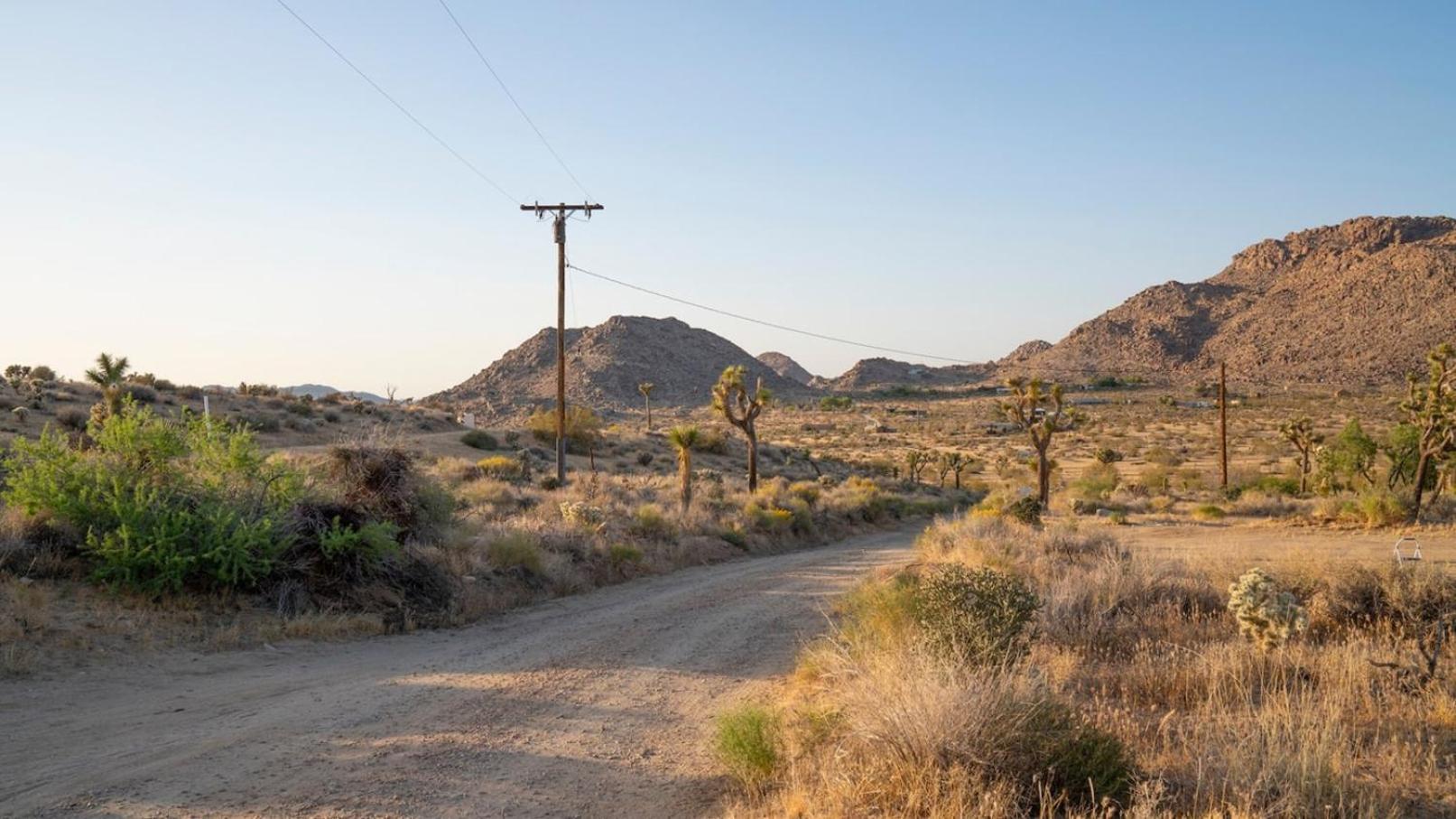 Experience Desert Serenity Gateway To Joshua Tree Exteriör bild